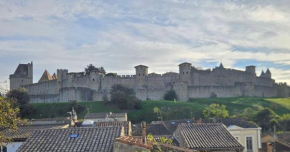 Vue Cité Médiévale Castel View